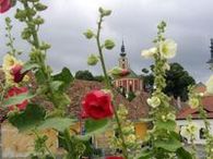 Hungary