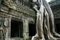 Cambodia